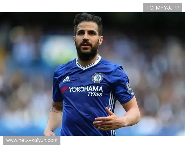 法布雷加斯:控球是胜利的关键基础