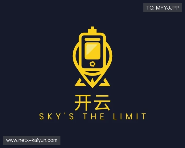 关于开云团队